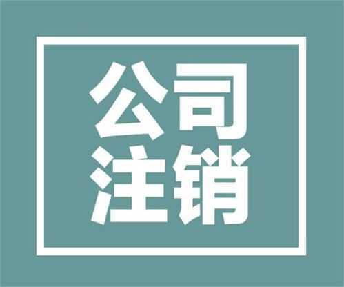青白江區(qū)一站式服務(wù) 專業(yè)代理記賬與公司類型變更，助您高效管理企業(yè)